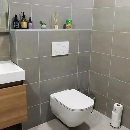 Pohodlny Apartman S Ptaci Zahradou Uherske Hradiste Exterior photo